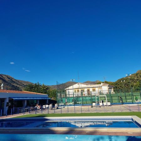 Moderno Duplex Comfort Roses Bagian luar foto